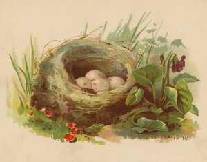 Fuglerede (chromolitho)