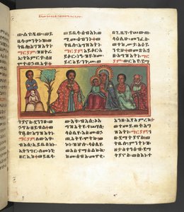 Eller. 607 f023r af Ethiopian School