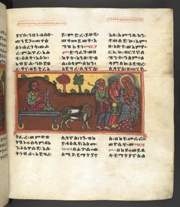 Eller. 607 f043r, Scene fra Jomfru Marias liv, fra 