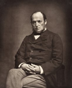 Émile Deshayes de Marcère fransk politiker, 1828-1918, ca. 1876. af Etienne Carjat