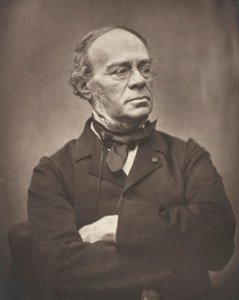Halévy, ca. 1876. af Etienne Carjat