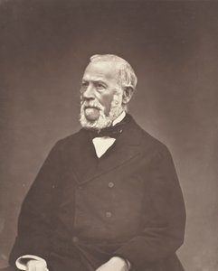 Henri Martin, ca. 1876. af Etienne Carjat