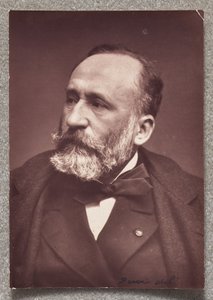 Puvis de Chavannes af Etienne Carjat