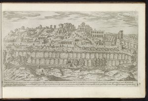 Palatinerhøjen og Circus Maximus i Rom Gamle bygninger (serietitel) I vestigi dell