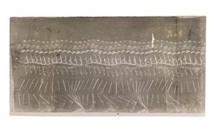 Mand gående, 1882