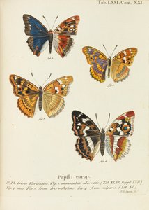Sommerfuglene Sommerfuglene, 1777-1794. af Eugen Johann Christoph Esper