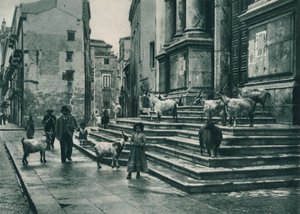 Geder på trappen til katedralen, Palermo, Sicilien, Italien, 1927