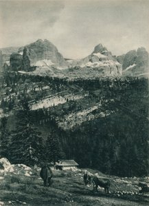 Udsigt over Brenta-gruppen med alpine græsgange, Madonna di Campiglio, Dolomitterne, Italien, 1927