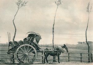 Vinbærer i Campagna, Rom, Italien, 1927 af Eugen Poppel