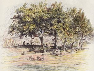Broder Juniper skærer foden af en gris for at give den til en syg mand (farvelitografi) af Eugene (after) Burnand