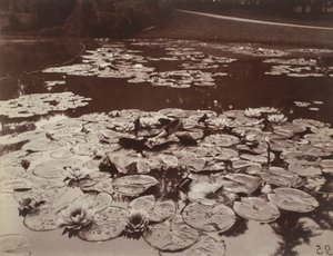 Åkander af Eugène Atget