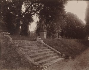 Parc de Sceaux,1925 (foto) af Eugène Atget