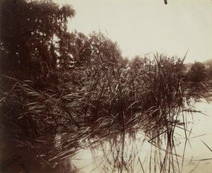  af Eugène Atget