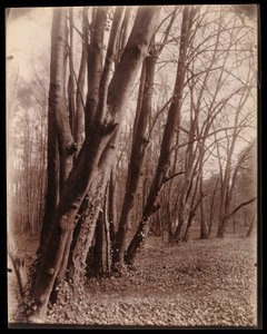  af Eugène Atget