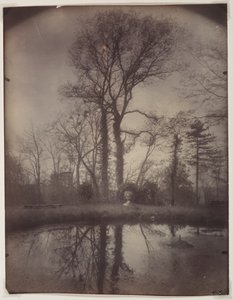 Parken ved Sceaux [april 1925, kl. 07.00] af Eugène Atget