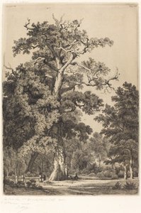 Gammel eg i Bois de Boulogne, 1855.