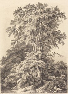 Beech Grove, 1840. af Eugene Bléry