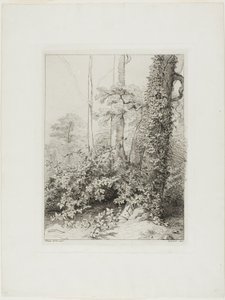 Bramble og Ivy af Eugene Bléry