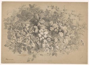 Bramen og andre planter Brambles og forskellige planter (titel på objekt) Planten en bloemen (serietitel) Industriel guide hentet fra naturen og litografieret af Bléry (serietitel) af Eugene Bléry