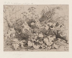Burre i blomst af Eugene Bléry