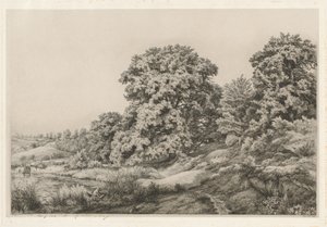 Oaks nær en dam, 1852.