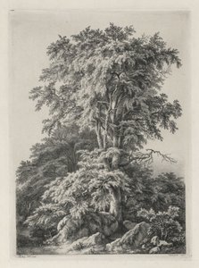 Studier tegnet og indgraveret efter naturen: Stranden, Fontainbleau..., 1840. af Eugene Bléry