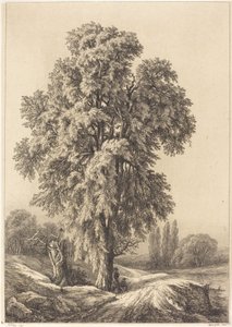Elmetræet, 1840.
