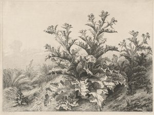 Den store tidsel (Le Grand Chardon) af Eugene Bléry