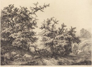 Tornbuske, 1840.