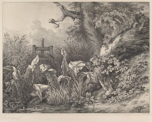 Water Dock and Brambles at a Sluice, 1843. af Eugene Bléry