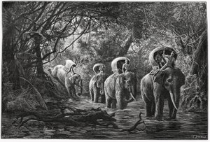 På vej ind i skoven rejser ekspeditionen på ryggen af en elefant. Gravering af Eugene Burnand, for at illustrere historien "Rejsen i Øvre Laos", i 1880, af Dr. P.Neis. Udgivet i Le Tour du monde, nouveau journal des voyages, 2. semester 18 af Eugene Burnand