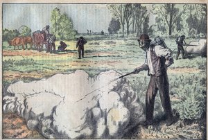 Ødelæggelsen af muloterne (Apodemus) af den kvælende gas i daggry - gravering af Damblans - le-pelerin af 1923 af Eugene Damblans