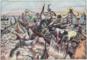 Tunfiskeri i Tunesien - Tun fanges i det sidste net kendt som "corpo", udklækkes med hugtænder og smækkes i fiskerbåden. Illustration af Damblans. I "" Le Pelerin"" af 30. august
