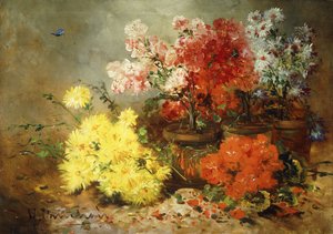 Tusindfryd, Begonia og andre blomster i potter,