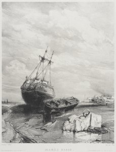 Lavvande