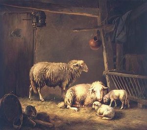 Får i en lade