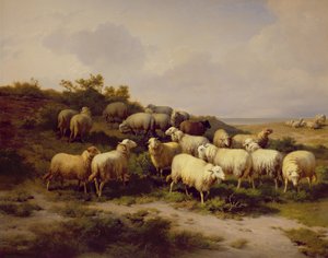 Får på kysten, 1878