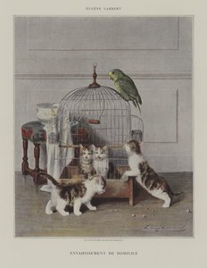 Hjem invasion af Eugene Lambert