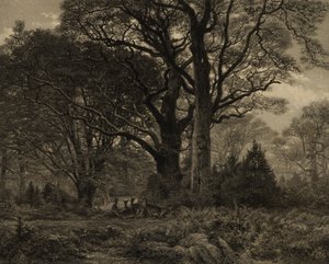 Fontainbleau-skoven