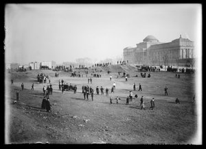 Vandtårn, Prospect Park, Brooklyn (nitrat negativ)