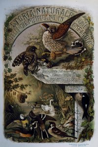 Titelside af Natural History of Birds, der yngler i Lombardiet, af Eugenio Bettoni (1845-1898), gravering af Oscar Dressler, Italien