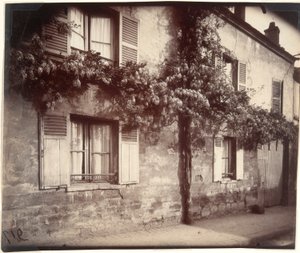 Glycin (Wisteria), Ch?tillon af Eugène Atget