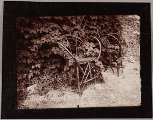 Humle af Eugène Atget