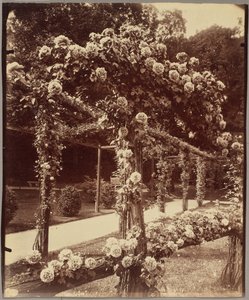 [Jardin de Bagatelle] af Eugène Atget