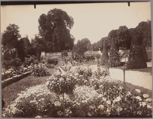Saint-Cloud af Eugène Atget