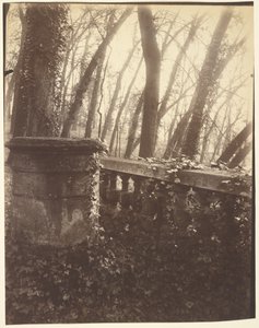 Saint-Cloud Park, Paris af Eugène Atget