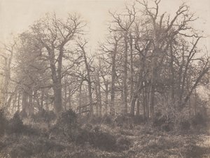 Tornens korsvej af Eugène Cuvelier