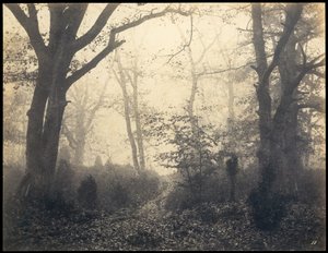 Fontainebleau. Skov ved Barbizon, ca 1860.