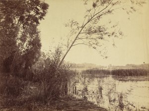 Marais de Fampoux, begyndelsen af 1860