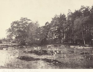 Marsh ved Piat (Belle-Croix Plateau)